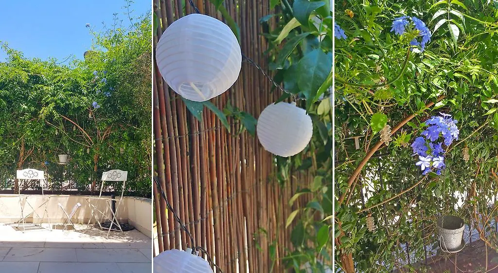 Bed & Breakfast La Casa Azul B&B + Apartments Malaga